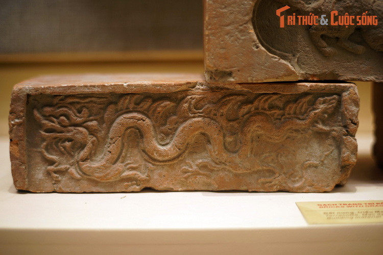 Kham pha “vuon bach thu” tren nhung vien gach tram tuoi Viet Nam-Hinh-7