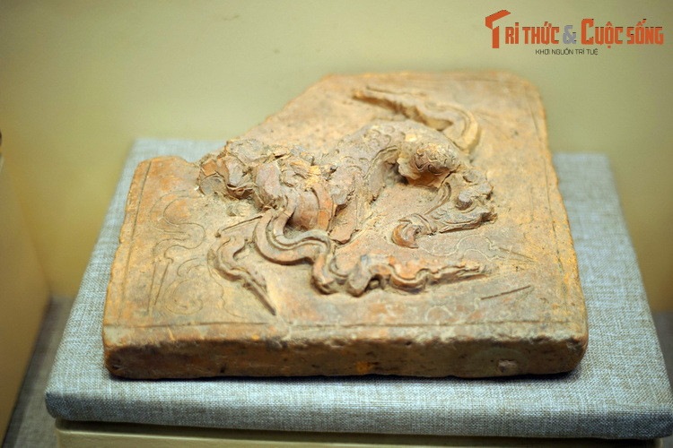 Kham pha “vuon bach thu” tren nhung vien gach tram tuoi Viet Nam-Hinh-13