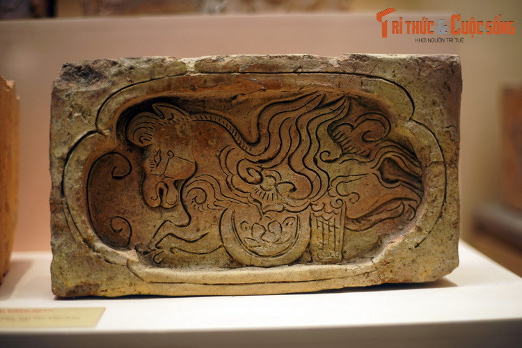 Kham pha “vuon bach thu” tren nhung vien gach tram tuoi Viet Nam-Hinh-5