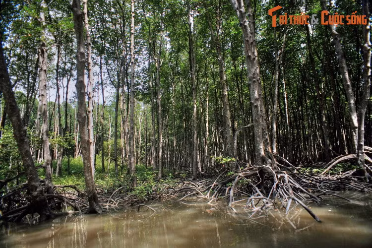 Top 10 thang canh phai ghe tham o khu vuc Dong Nam Bo-Hinh-5