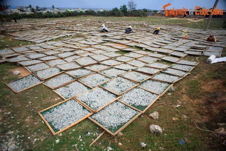 Kham pha cung duong bo bien “dep nhat Viet Nam” o Ninh Thuan-Hinh-10