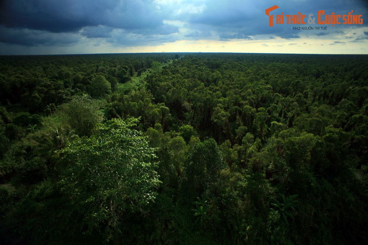 Top 10 thang canh phai ghe tham o dong bang song Cuu Long-Hinh-3