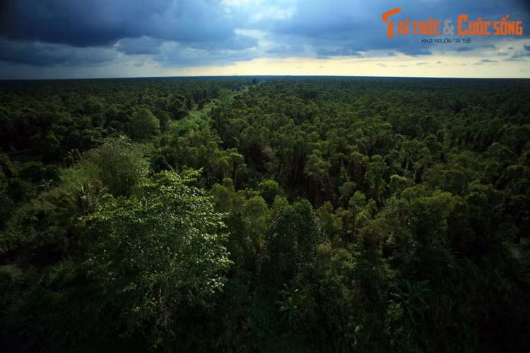 Top 10 thang canh phai ghe tham o dong bang song Cuu Long-Hinh-3