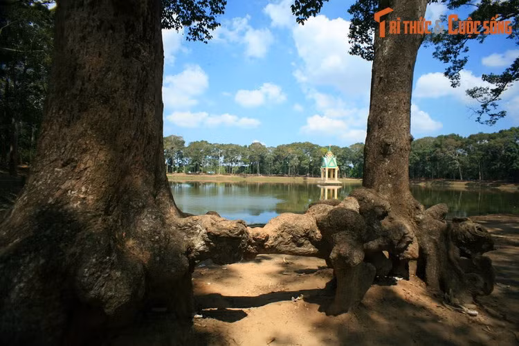 Top 10 thang canh phai ghe tham o dong bang song Cuu Long-Hinh-5