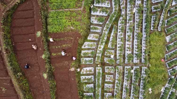 So huu chung cu, nha dat o cac nuoc ra sao?-Hinh-2