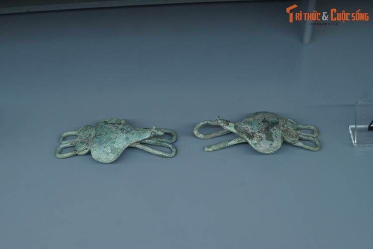 Tan muc kho bau Dong Son lan dau tien cong bo o Viet Nam-Hinh-8