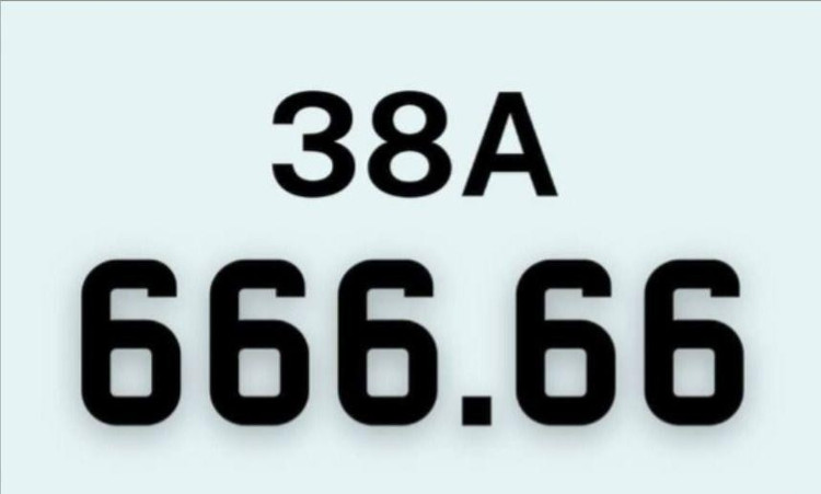 Nhieu bien so o to “vip” Ha Tinh bi bo coc sau khi trung dau gia