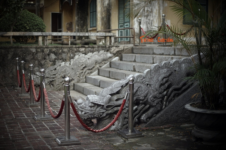 Dieu dac biet cua cap rong da Ha Noi vua tro thanh Bao vat quoc gia-Hinh-2