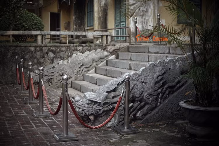 Dieu dac biet cua cap rong da Ha Noi vua tro thanh Bao vat quoc gia-Hinh-2