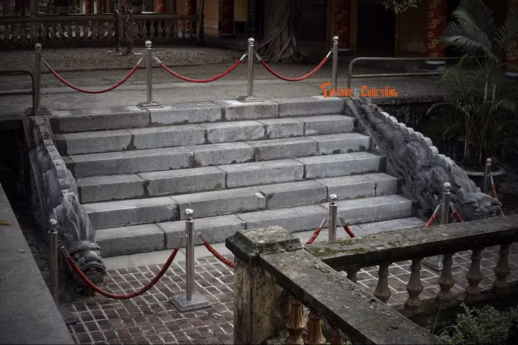 Dieu dac biet cua cap rong da Ha Noi vua tro thanh Bao vat quoc gia