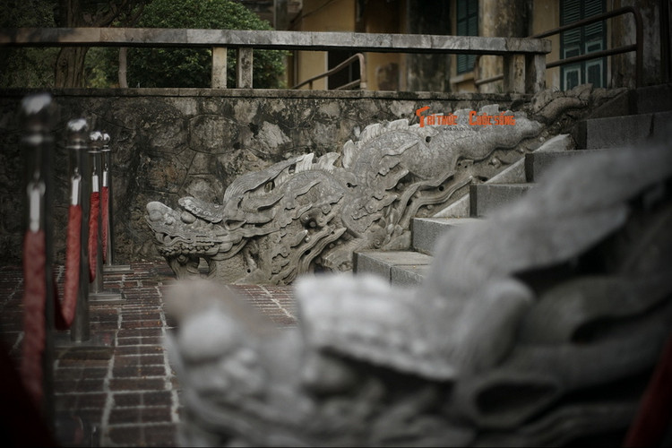 Dieu dac biet cua cap rong da Ha Noi vua tro thanh Bao vat quoc gia-Hinh-4