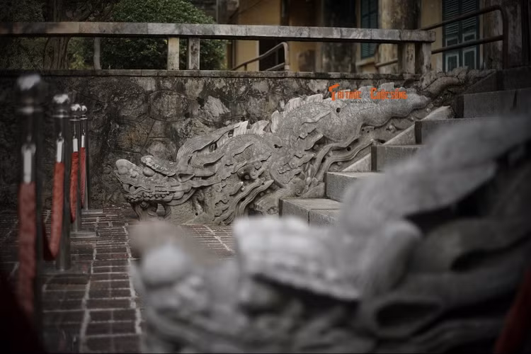 Dieu dac biet cua cap rong da Ha Noi vua tro thanh Bao vat quoc gia-Hinh-4