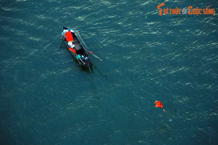 Nhung khoanh khac dep me hon ve song nuoc mien Tay Nam Bo-Hinh-4