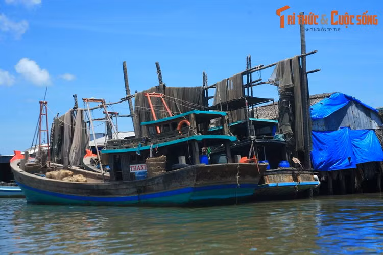 Nhung khoanh khac dep me hon ve song nuoc mien Tay Nam Bo-Hinh-11