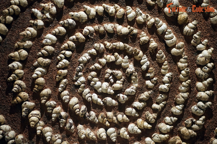 Ngoai ca sau 40 trieu tuoi, Na Duong con co hoa thach gi?-Hinh-13