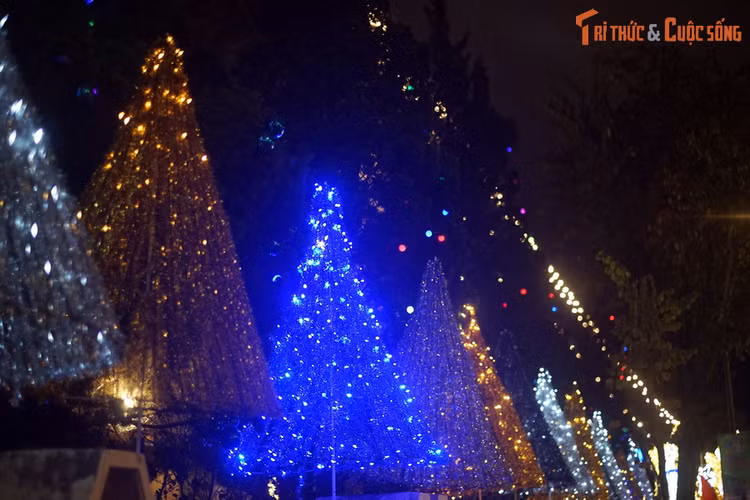 Khong khi giang sinh o nha tho co noi tieng nhat Da Lat-Hinh-2