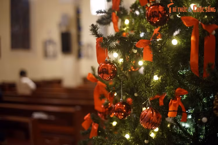 Khong khi giang sinh o nha tho co noi tieng nhat Da Lat-Hinh-14