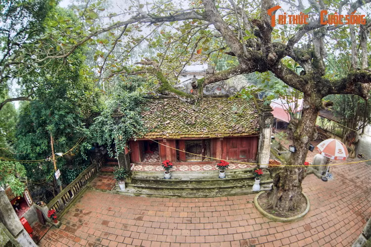 Chiem nguong day nui giong dang hinh phu nu, dep nhat xu Thanh-Hinh-11