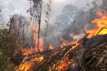 Chuyên gia cảnh báo nắng nóng sớm, nguy cơ cháy nổ và ảnh hưởng sức khỏe