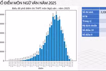 Điểm trung bình môn Ngữ văn tốt nghiệp THPT năm nay đạt 7,0