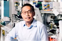 GS gốc Việt phát hiện "giờ vàng" diệt tế bào ung thư