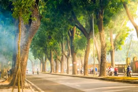 Khám phá vẻ đẹp mùa thu Hà Nội qua những địa điểm nổi bật
