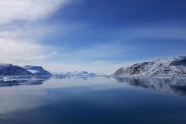 Phát hiện hệ sinh thái bí ẩn tại sông băng Greenland