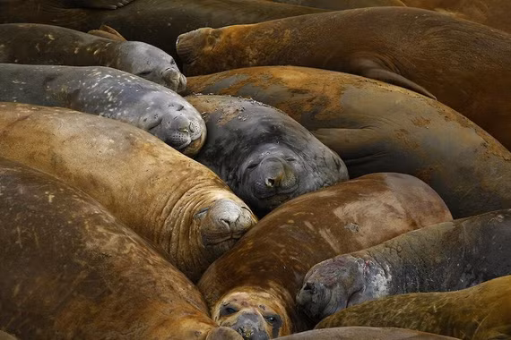 Iran lộ điểm yếu sau đàm phán thất bại với Mỹ tại Islamabad