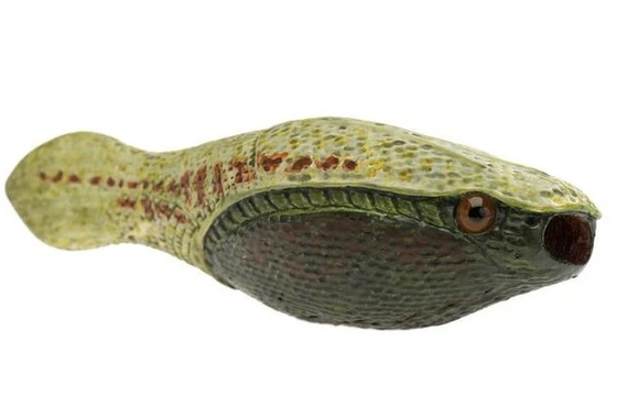 Sinh vật bọc giáp nửa tỷ tuổi hé lộ giai đoạn của tiến hóa