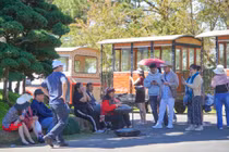 Lâm Đồng thu hút gần 1 triệu khách du lịch Tết Nguyên đán 2026