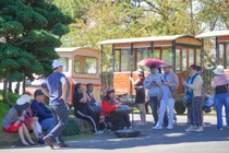 Lâm Đồng thu hút gần 1 triệu khách du lịch Tết Nguyên đán 2026