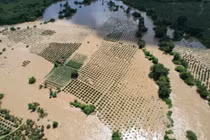 Mưa lớn gây ngập sâu, sạt lở đèo đe dọa an toàn tại Lâm Đồng