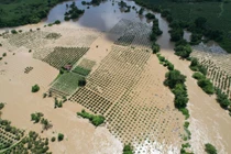 Mưa lớn gây ngập sâu, sạt lở đèo đe dọa an toàn tại Lâm Đồng