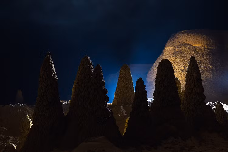 Kỳ tích trăm triệu năm trong rừng thẳm. Ảnh: Ngô Trần Hải An