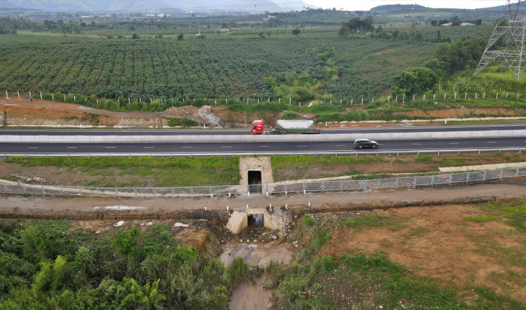 Đại diện Sở NN&amp;PTNT Bình Thuận nói, chỗ trũng này chỉ đặt một cống thoát rộng 2,5 m x 2,5 m là quá nhỏ, cần phải mở rộng thêm khẩu độ đảm bảo lượng nước thoát khi mưa lớn. Mực nước sông dâng lên do mưa lũ cũng cần được bên tư vấn tính toán để thiết kế cống thoát phù hợp. Ảnh: Lê Xuân Thọ