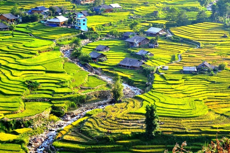 Nằm ở phía Tây Bắc Việt Nam, Sapa nổi tiếng là địa điểm du lịch tuyệt đẹp với những màn sương bao phủ quanh năm, không khí trong lành, những đồi ruộng bậc thang xanh mát cùng nét đẹp thơ mộng của những phiên chợ vùng cao. Ảnh dulich24h