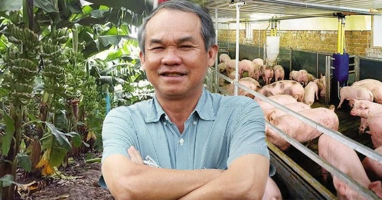 Bầu Đức tự tin vào mô hình chuối, heo, gà.