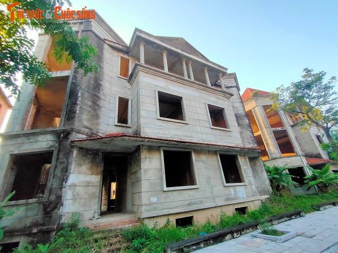 Biệt thự tiền tỷ để mọc rêu.