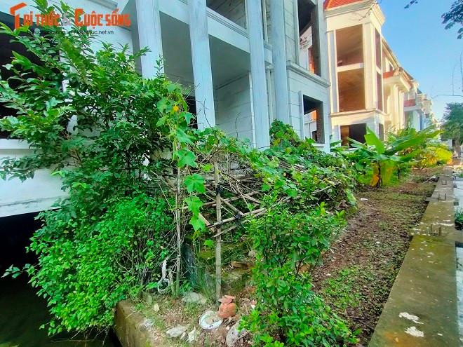 Tận dụng những &quot;mảnh đất hoang&quot; bên cạnh nhà, những hộ gia đình chuyển đến ở đã biến sân vườn hàng xóm thành nơi trồng rau để tăng gia.