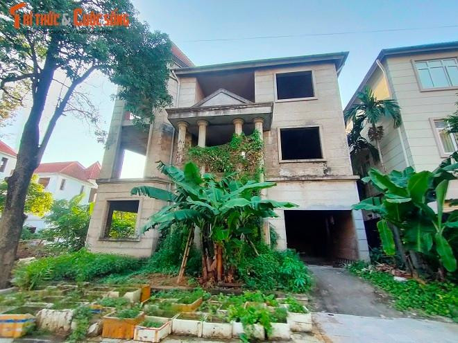 Không khó để bắt gặp những luống rau, vườn chuối tương tự như thế này được trồng khắp khu biệt thự.