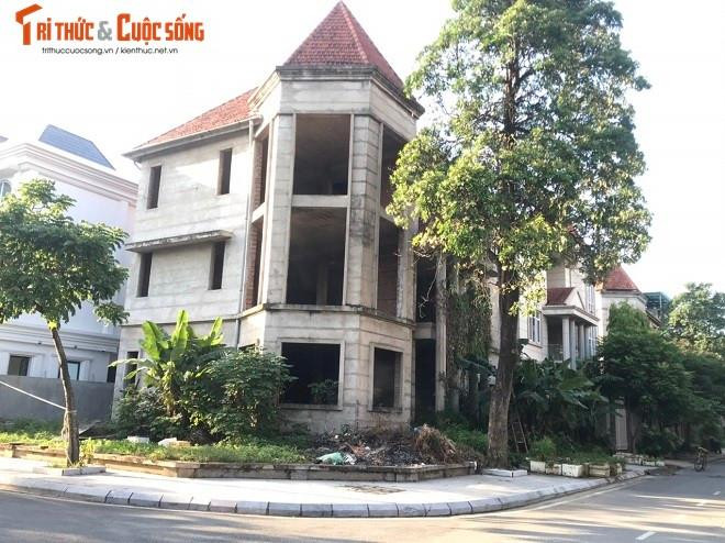 Biệt thự tiền tỷ để mọc rêu.