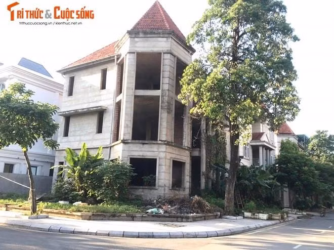 Biệt thự tiền tỷ để mọc rêu.