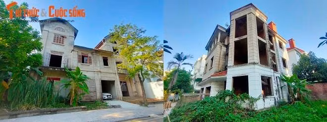 Những căn biệt thự hàng trăm mét vuông với kiểu dáng thiết kế rất đẹp, nhưng cỏ dại, dây leo bao trùm trông rất nhếch nhác.