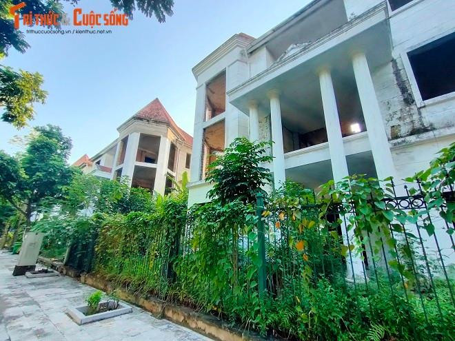 Những căn biệt thự đã hoàn thiện từ lâu cũng chung cảnh ngộ bỏ hoang vì không có người đến ở, cổng sắt hoen rỉ, cây leo quây kín.