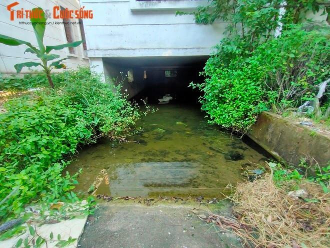 Khu vực hầm biệt thự ngập nước nặng kèm theo rác thải do đọng nước mưa nhiều ngày, bốc mùi hôi thối.