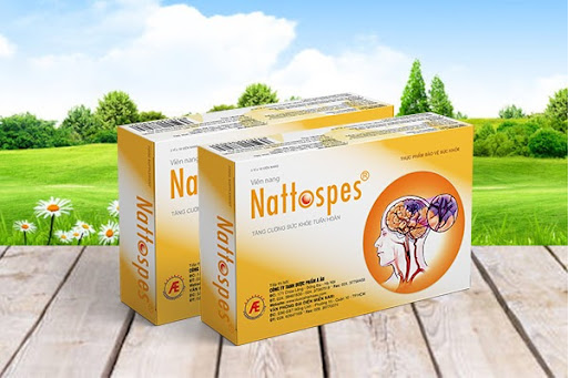 Nattospes giúp hỗ trợ cải thiện thiếu máu não, phòng ngừa đột quỵ não