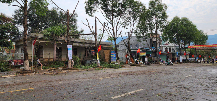 Lốc xoáy, mưa đá khiến nhiều cây xanh bị đổ gãy. Ảnh dantri