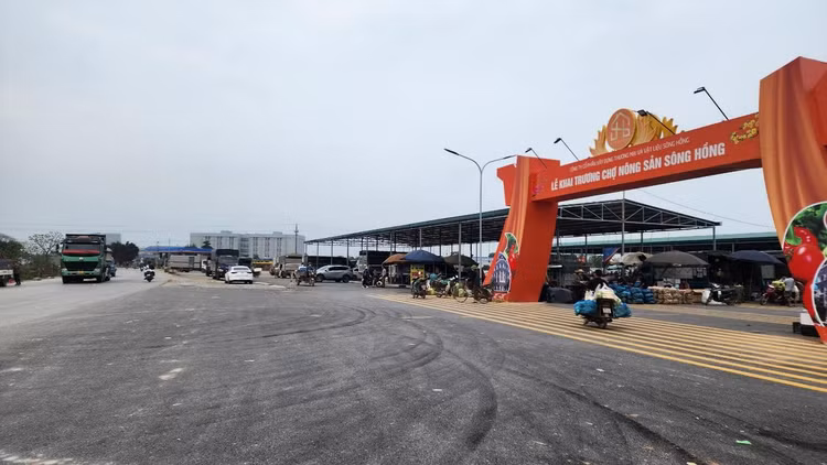 Chợ nông sản Sông Hồng hoạt động không phép.