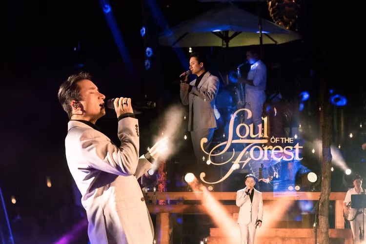 Phan Mạnh Quỳnh sâu lắng trong những ca khúc về tình yêu