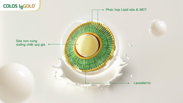 Dinh dưỡng toàn diện cho mọi lứa tuổi